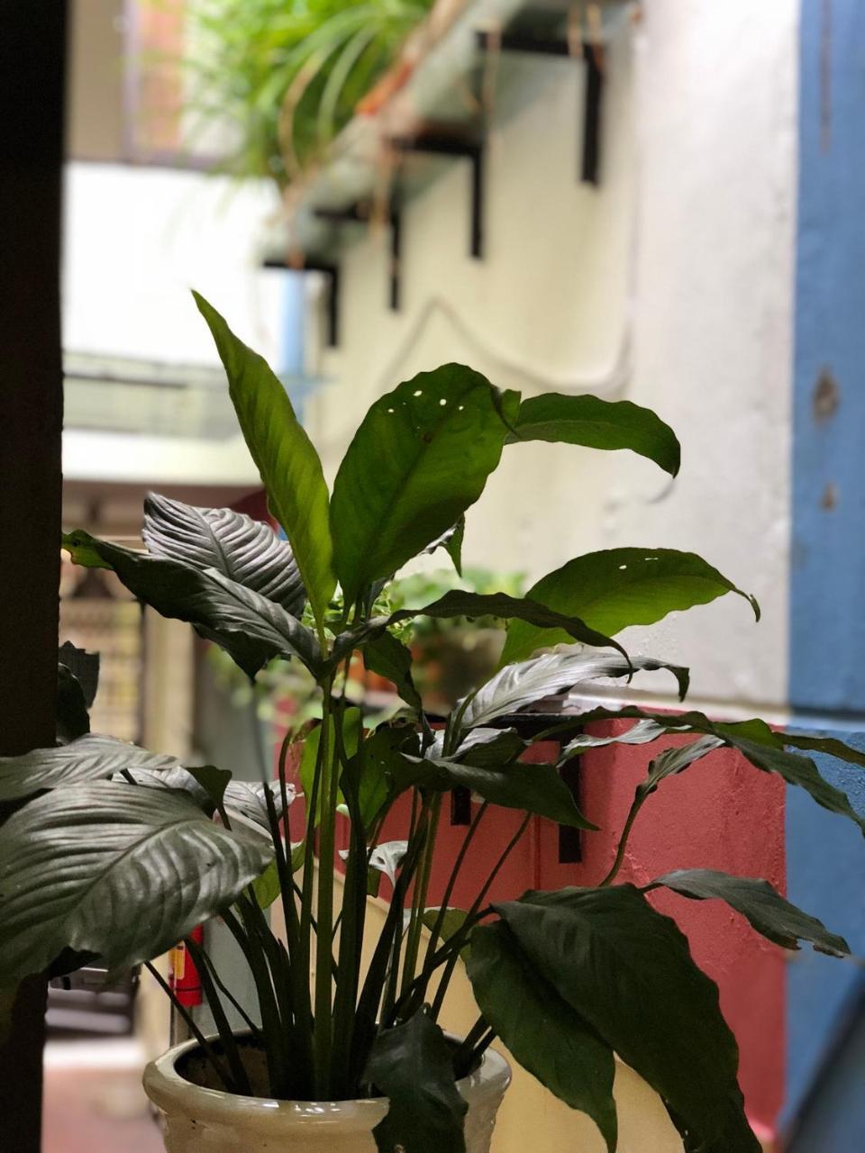 하이퐁 Ventana House 아파트 외부 사진