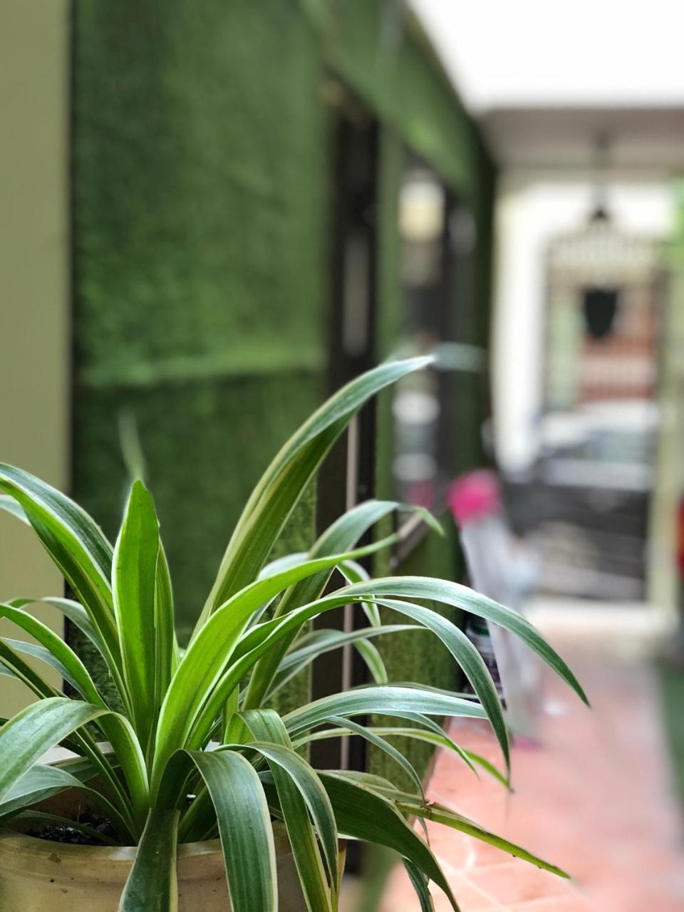 하이퐁 Ventana House 아파트 외부 사진